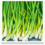 scallions